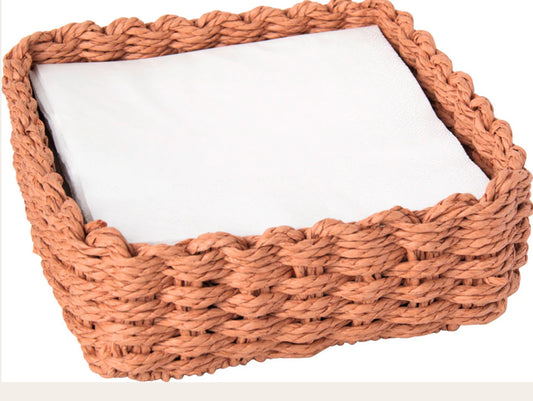 Paper Woven Lunch Caddy Terracotta