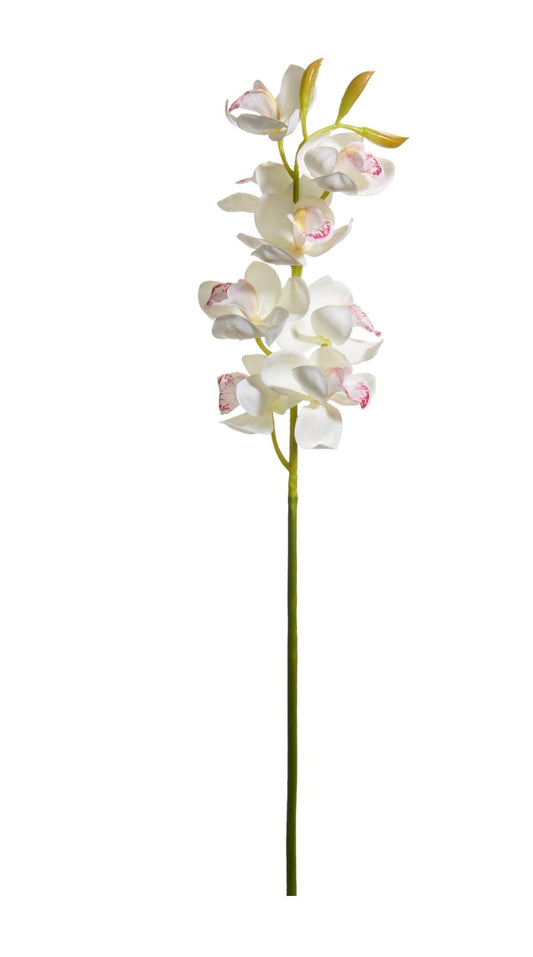 27.5" White Cymbidium Orchid Stem
