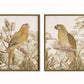 Tropical Parrot Prints