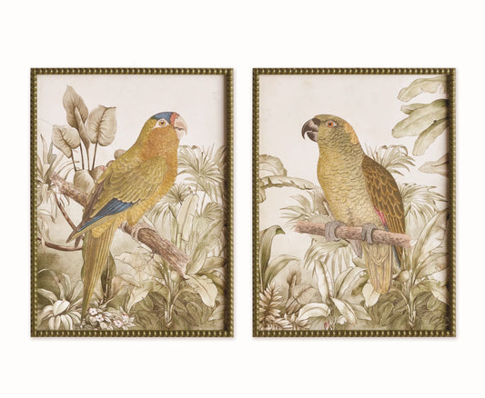 Tropical Parrot Prints