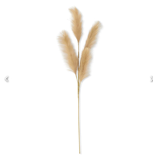 42” beige grass stem
