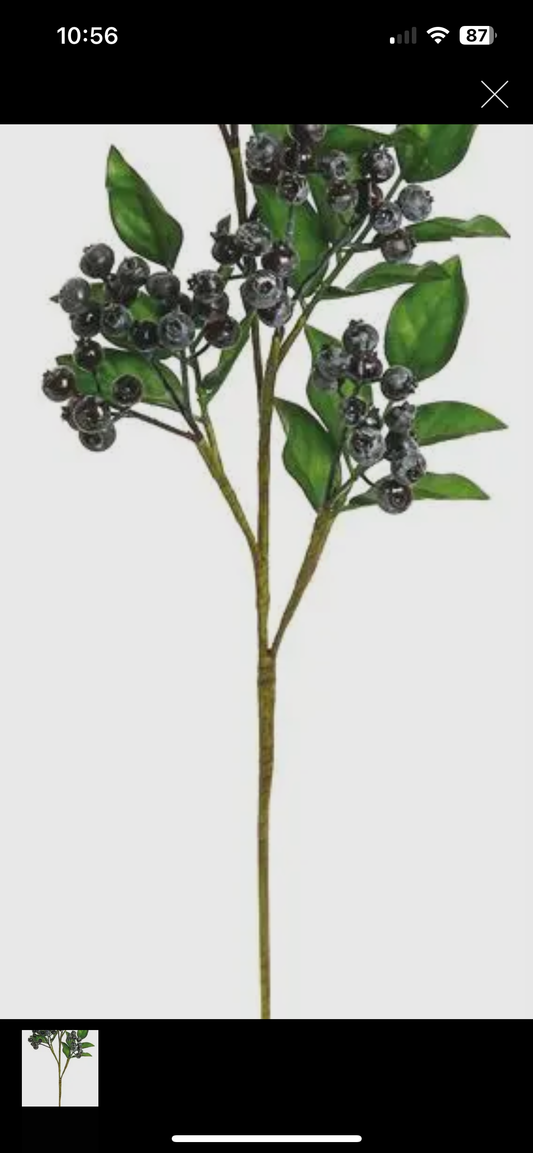 Blueberry Spray