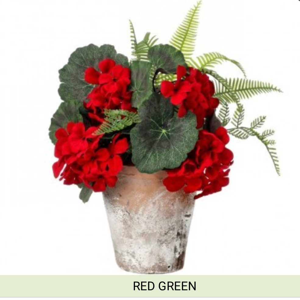 13” summer geranium/fern arrangement