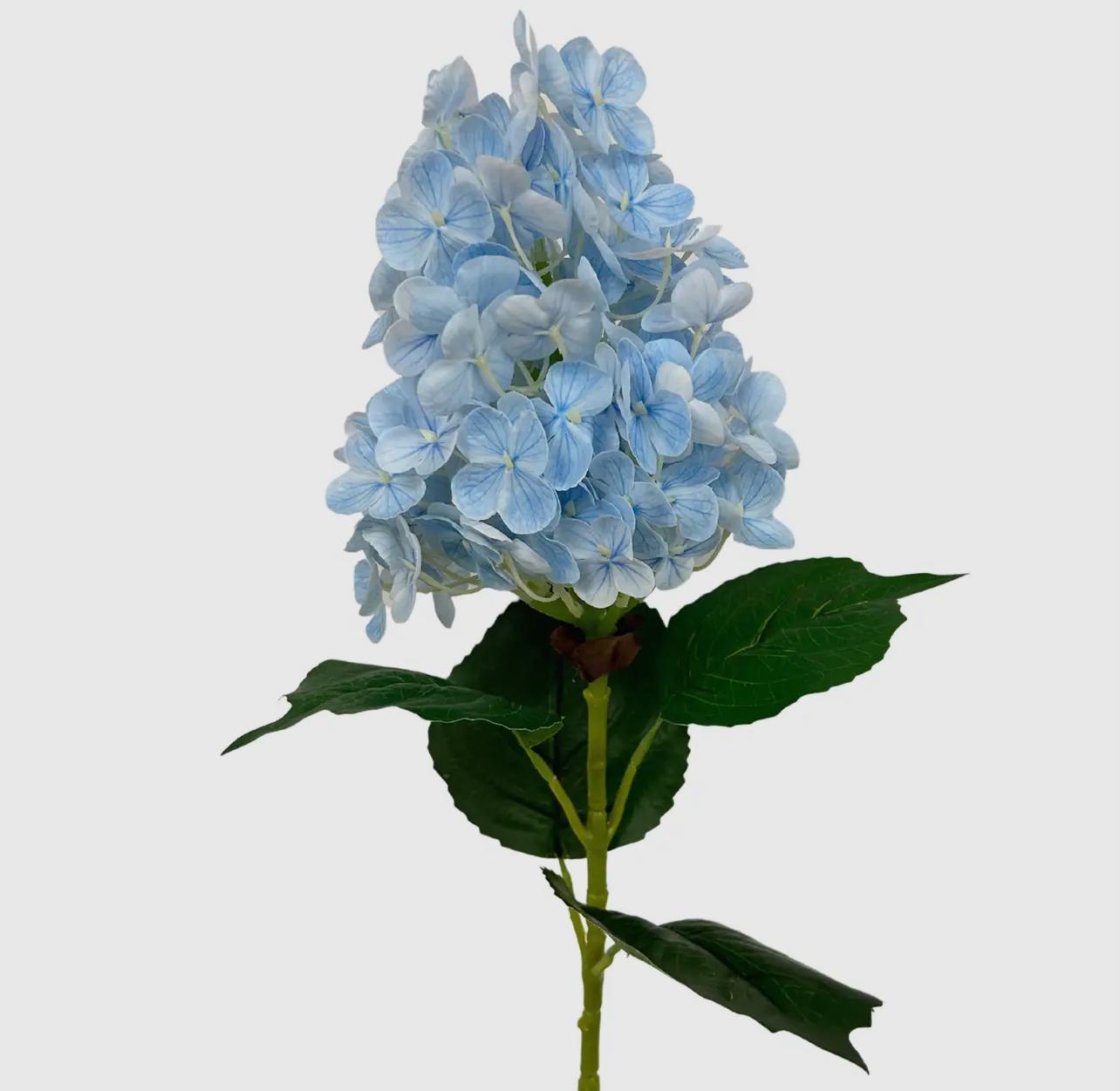 Fresh touch hydrangea cone