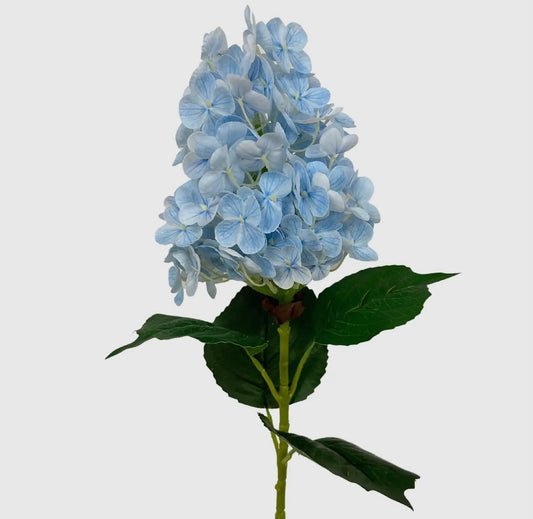 Fresh touch hydrangea cone