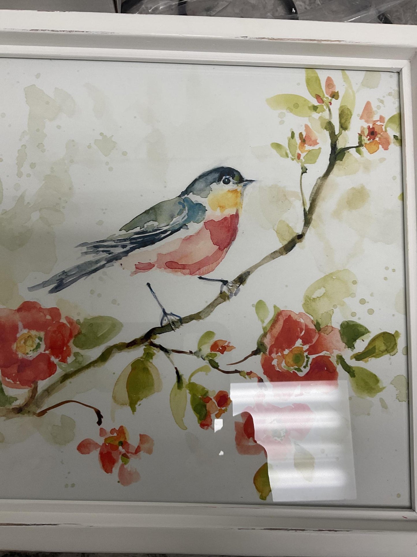 Watercolor bird framed print