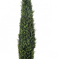 UV Treated Cypress Cone Topiary