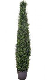 UV Treated Cypress Cone Topiary