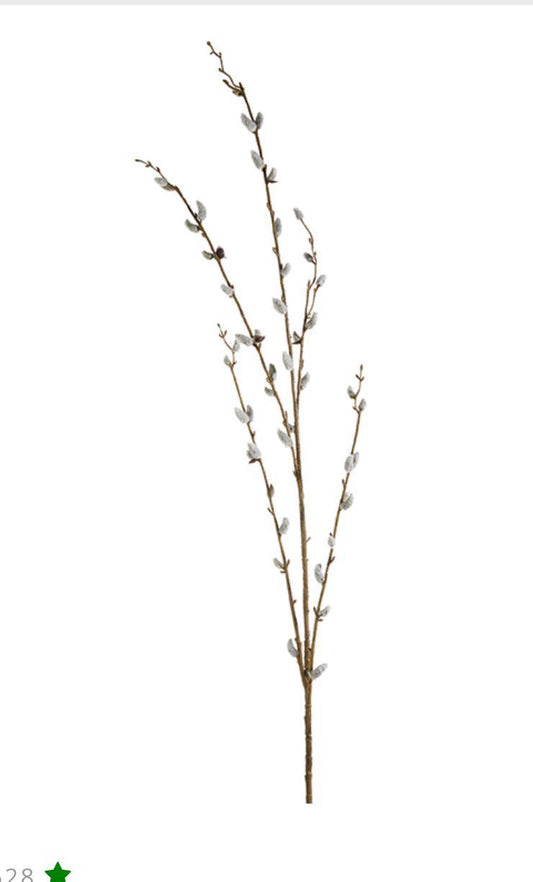 pussy willow branch