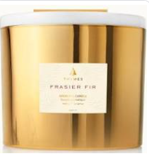 Frasier Fir Poured Candle, 3-Wick Gold