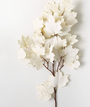 Maple Leaf Spray
