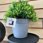 Greenery pots