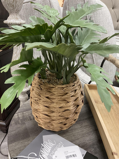 assorted foliage in round baskets