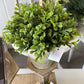 Greenery pots
