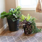 Round Polyrattan Indoor Planters - Black