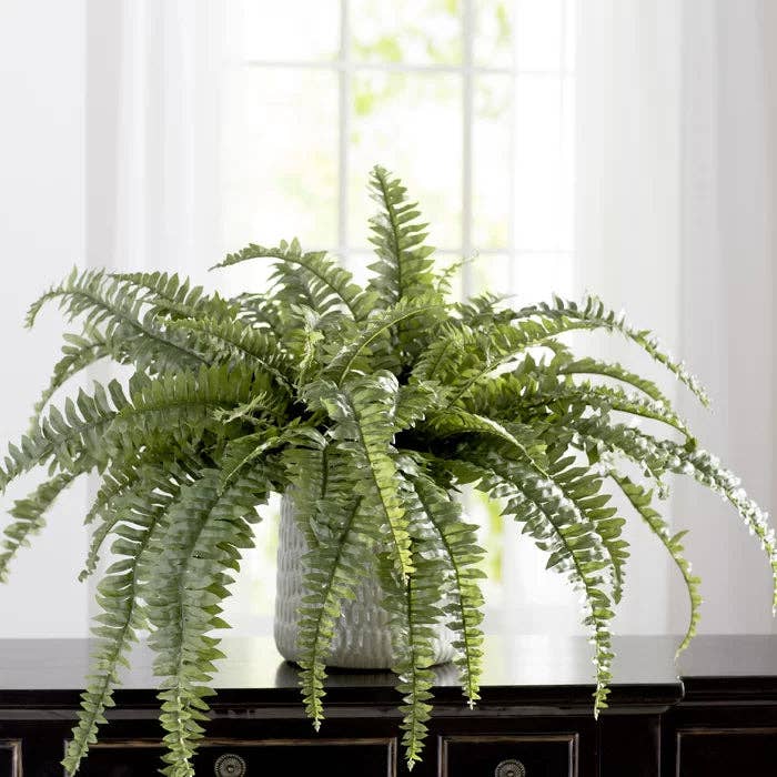48" Boston Fern Plant - Indoor/Outdoor Faux Fern