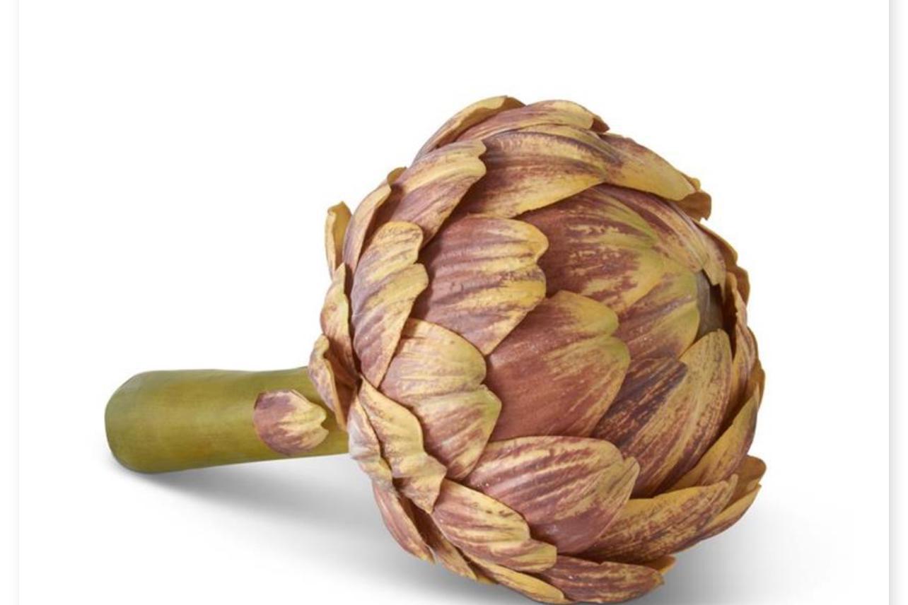 Brown artichoke with stem