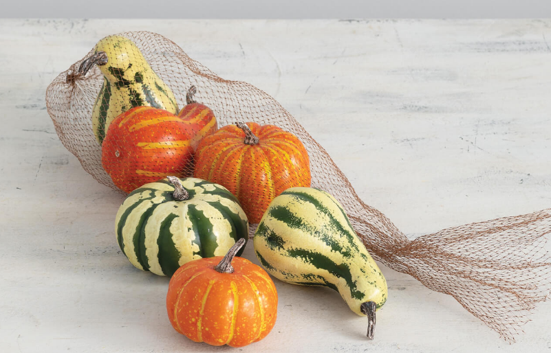 Pumpkin Bag Of 6