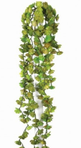 Fresh Touch Fountain Succulent Vine 22"