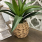 assorted foliage in round baskets