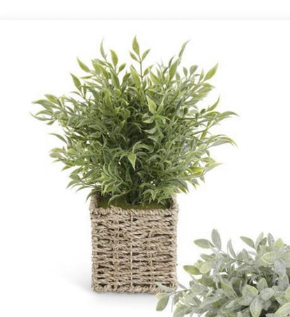 13” herbs in square woven basket