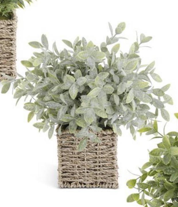 13” herbs in square woven basket