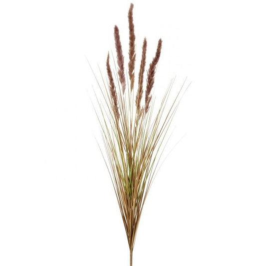 Foxtail spray grass