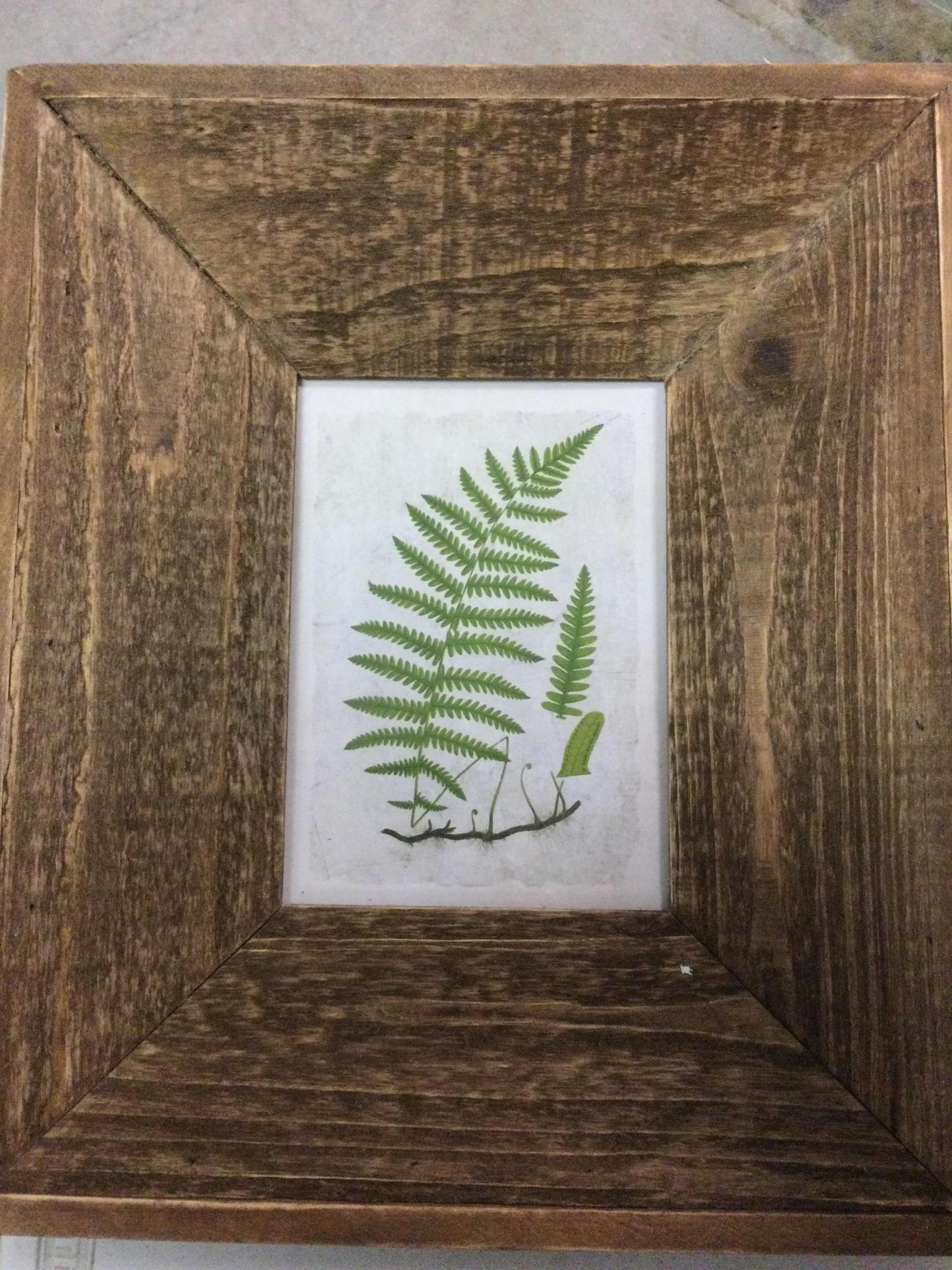 Fern print in wood frame