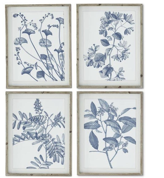 Blue and white botanical prints w wood frame