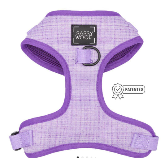 Dog adjustable harness aurora