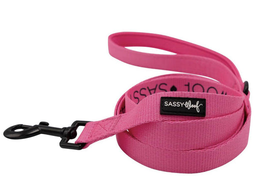 Dog fabric leash