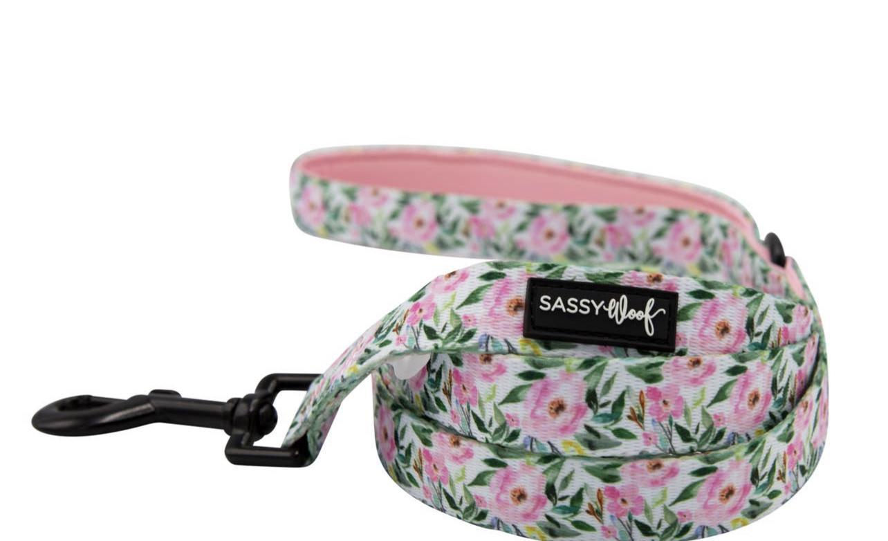 Dog fabric leash