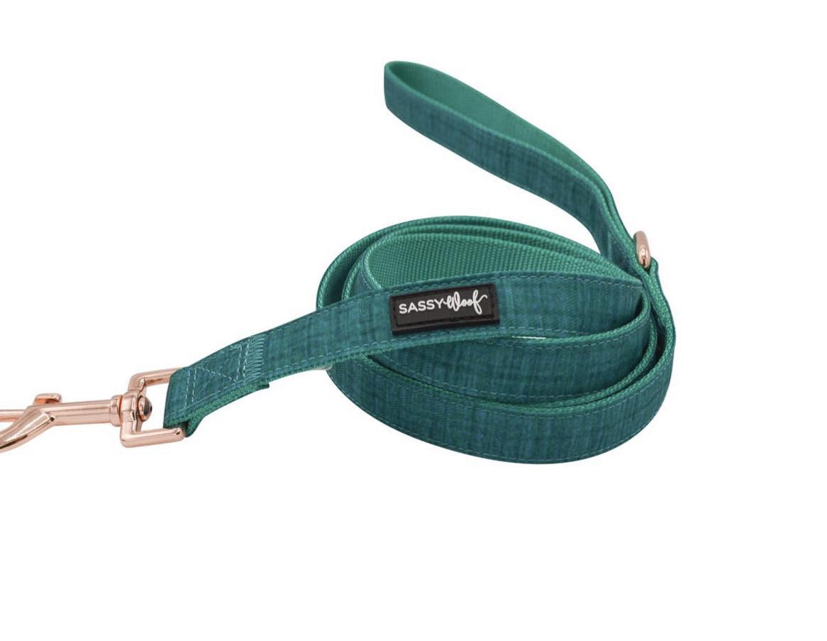 Dog fabric leash