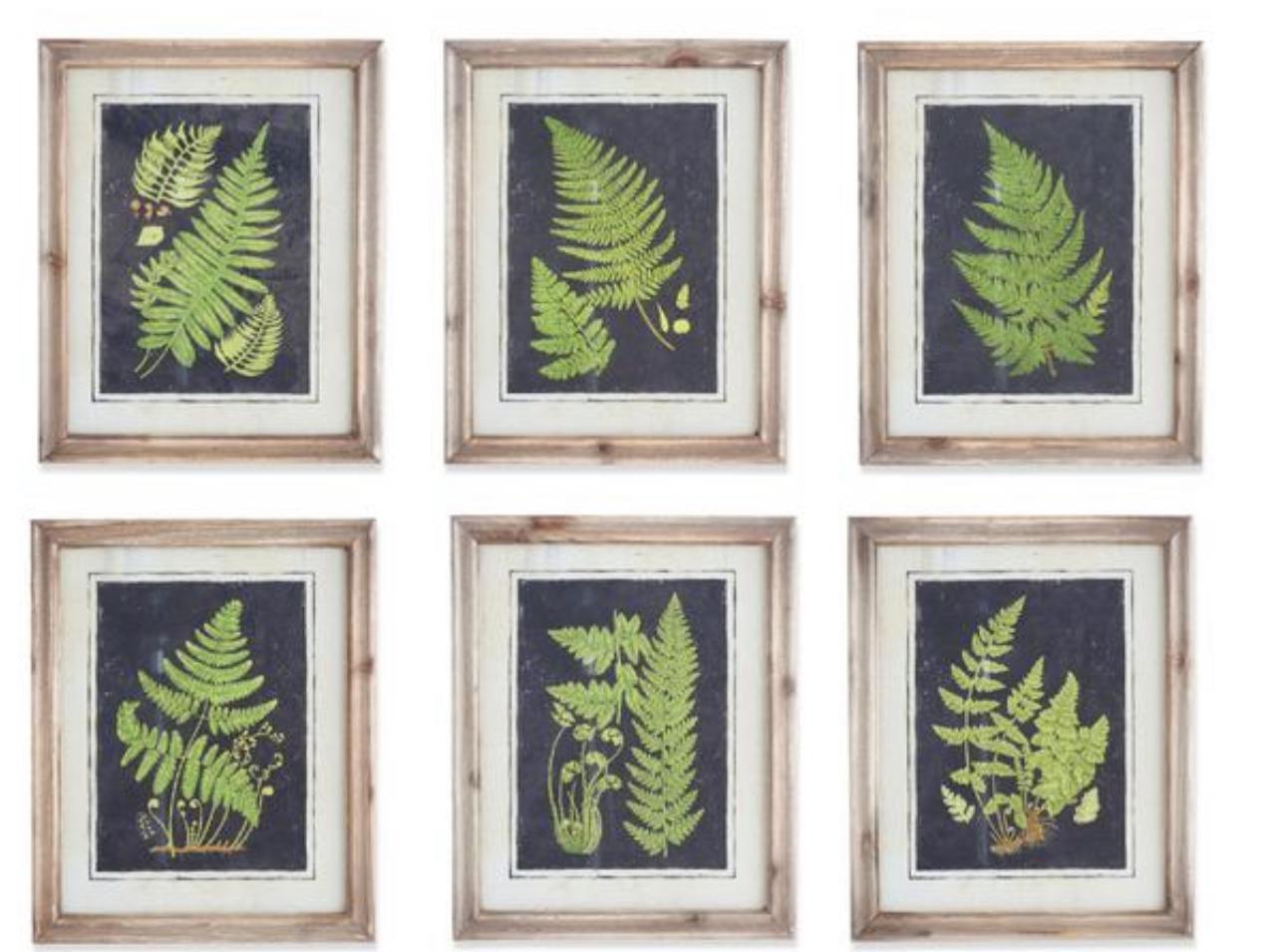 Natural wood frame fern prints