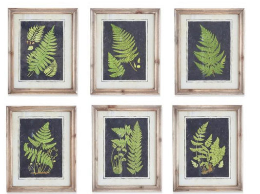 Natural wood frame fern prints