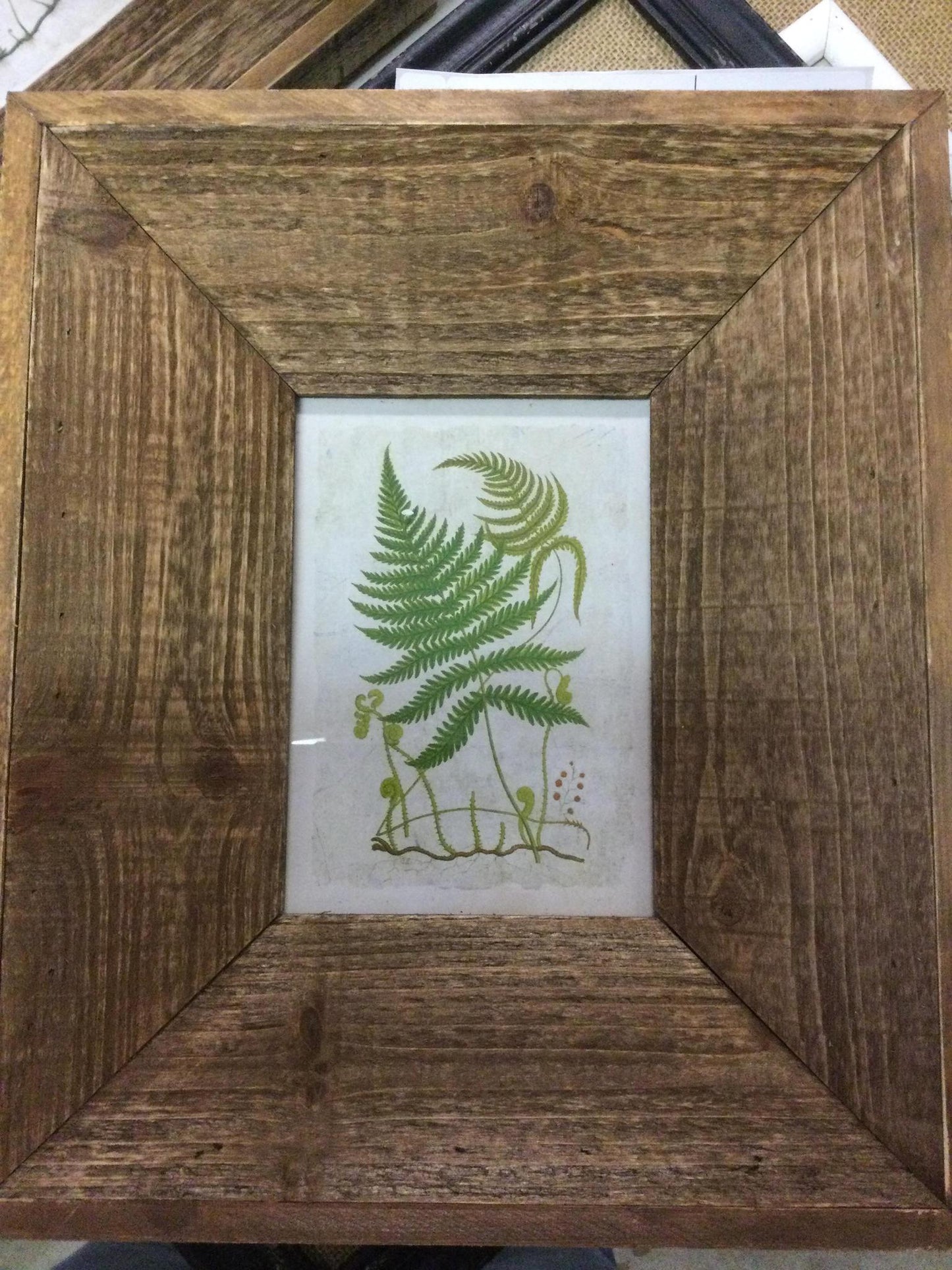 Fern print in wood frame