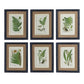 Black framed fern prints