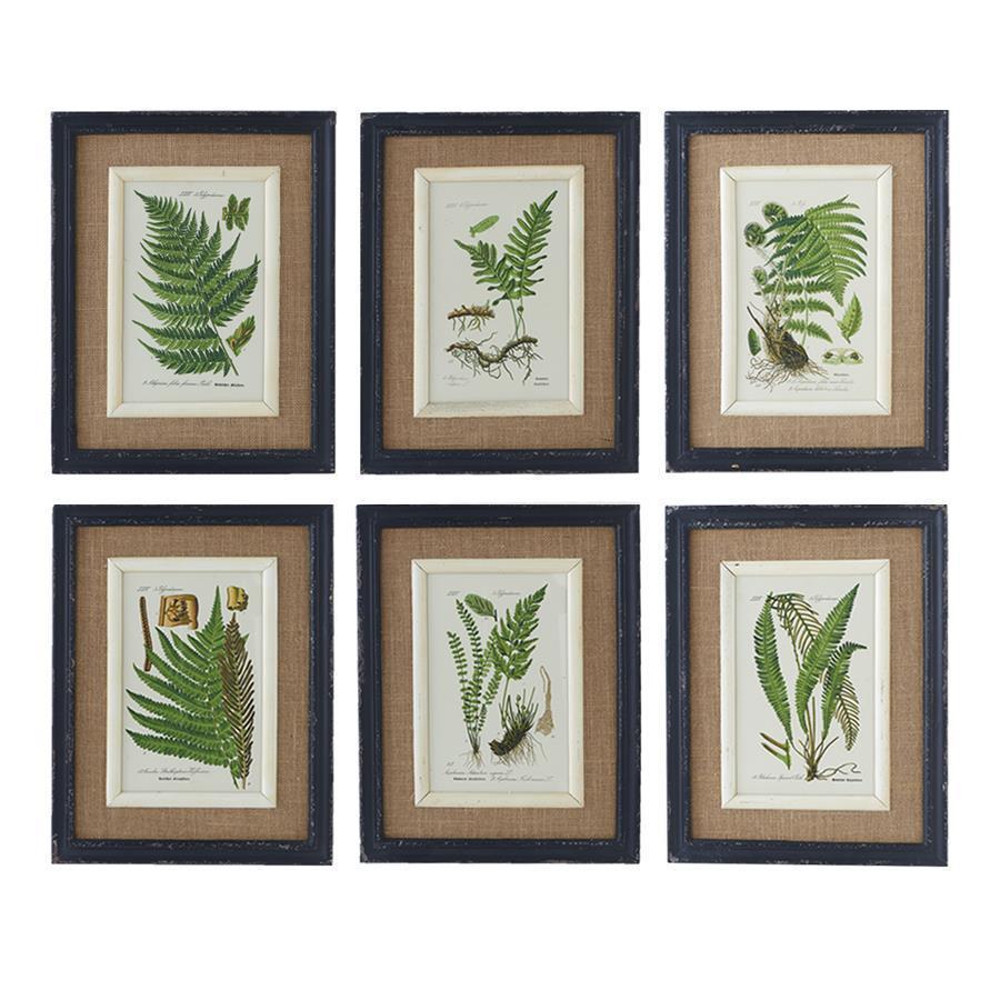 Black framed fern prints