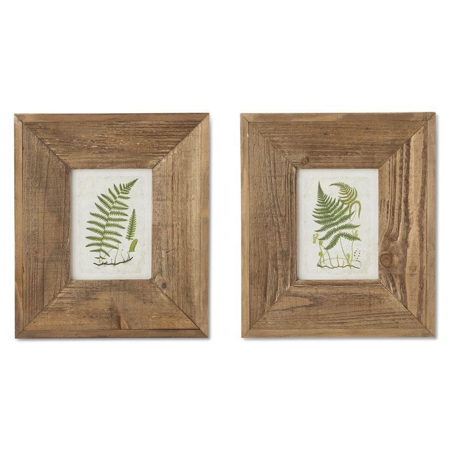 Fern print in wood frame