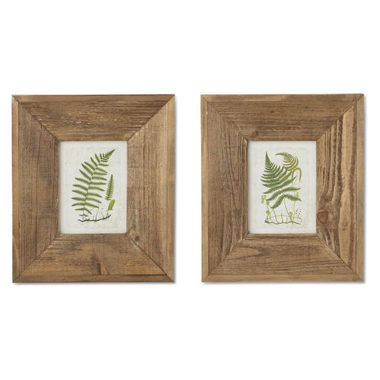 Fern print in wood frame