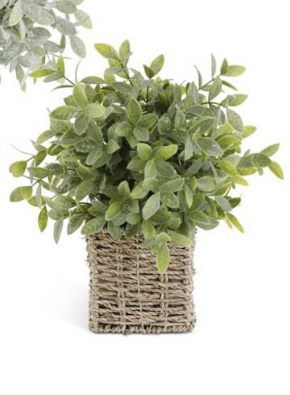 13” herbs in square woven basket