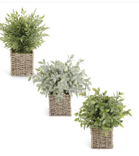 13” herbs in square woven basket